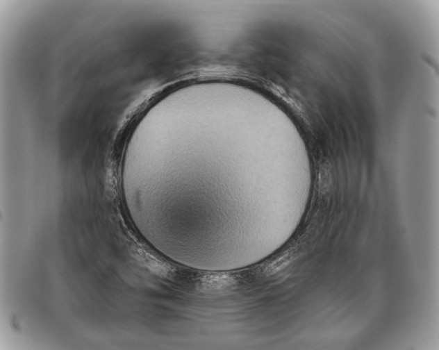 X0000097771454200803281629