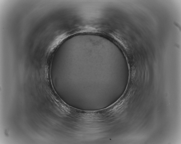 X0000097771455200803281629