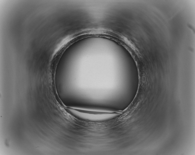 X0000097771456200803281629