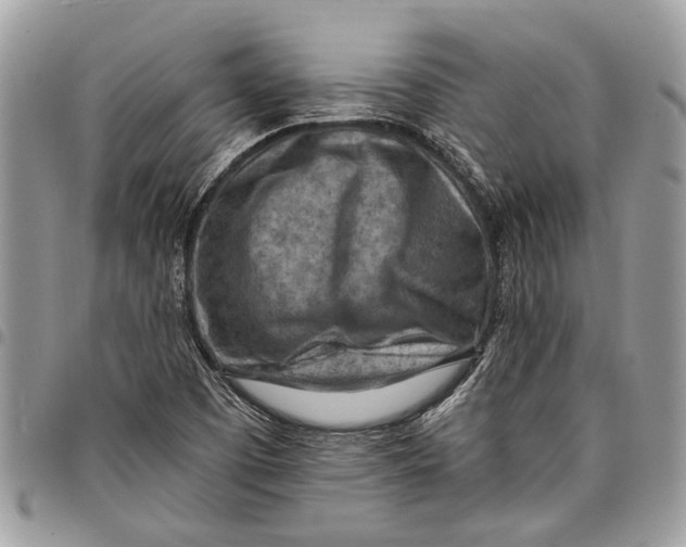 X0000097771457200803281629