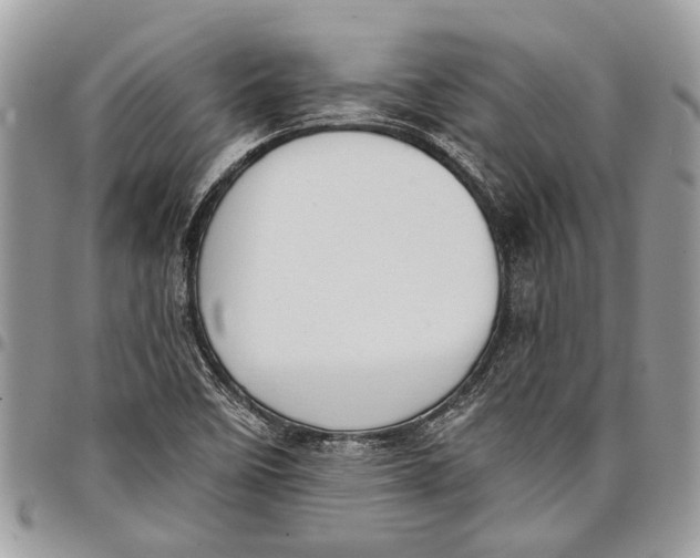 X0000097771458200803281629