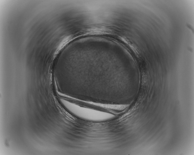 X0000097771459200803281629