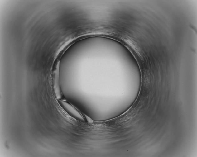 X0000097771460200803281629