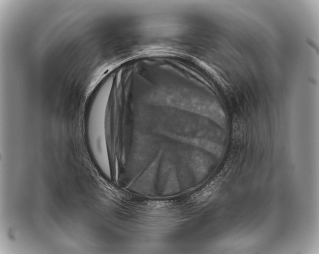 X0000097771461200803281629