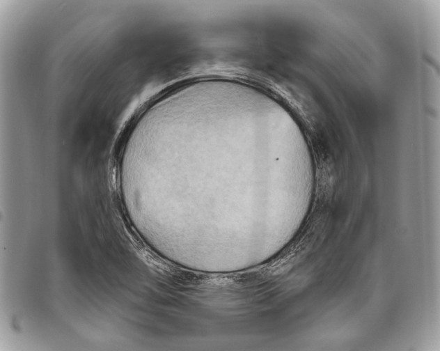 X0000097771462200803281629