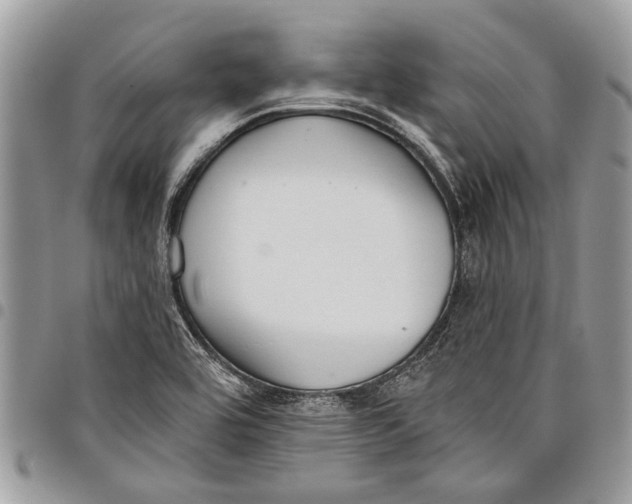 X0000097771464200803281629