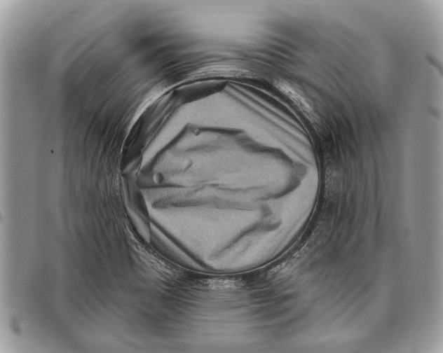 X0000097771465200803281629