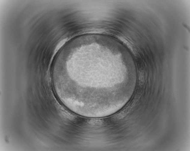 X0000097771466200803281629