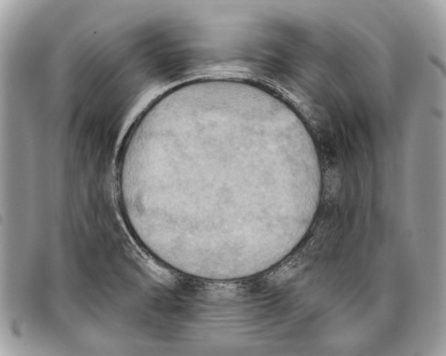 X0000097771470200803281629