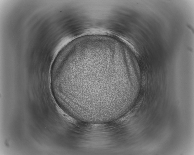 X0000097771471200803281629