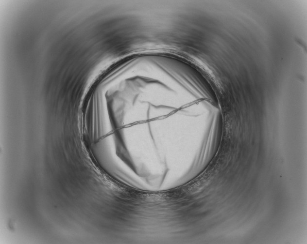 X0000097771472200803281629