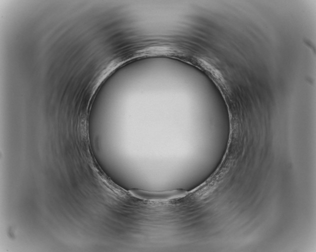 X0000097771473200803281629