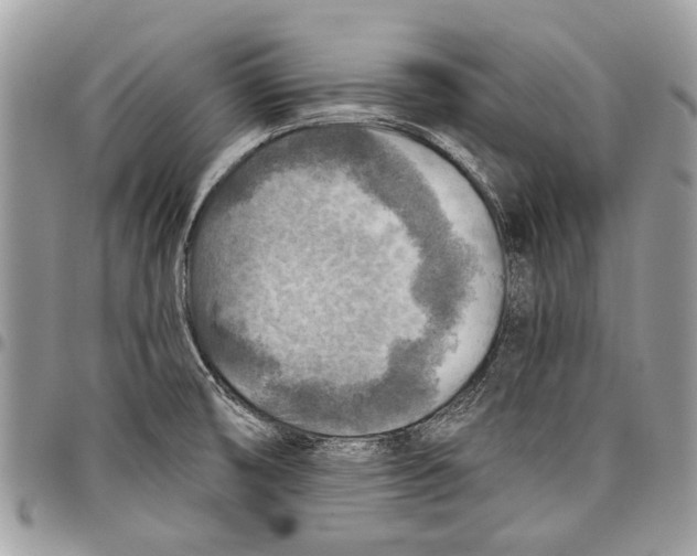 X0000097771474200803281629