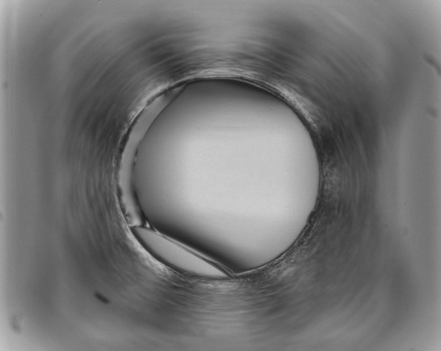 X0000097771476200803281629