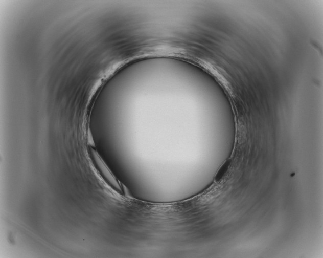 X0000097771477200803281629