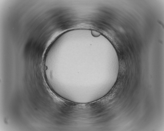 X0000097771478200803281629