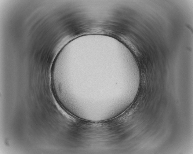 X0000097771479200803281629