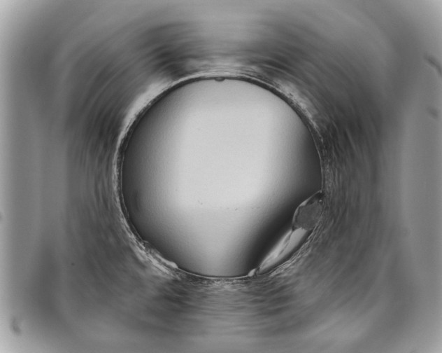 X0000097771480200803281629