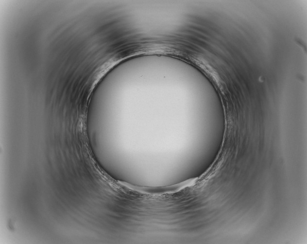 X0000097771481200803281629