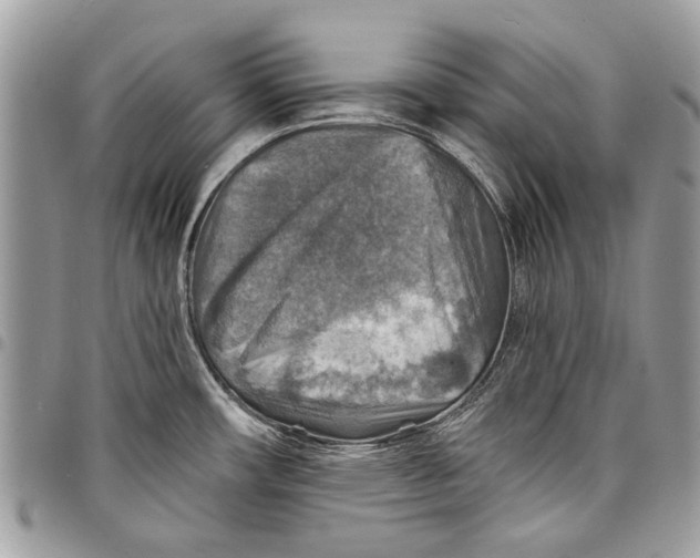 X0000097771482200803281629