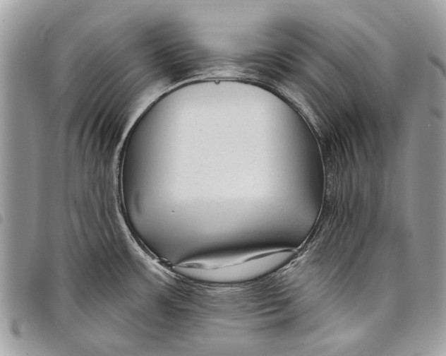 X0000097771483200803281629