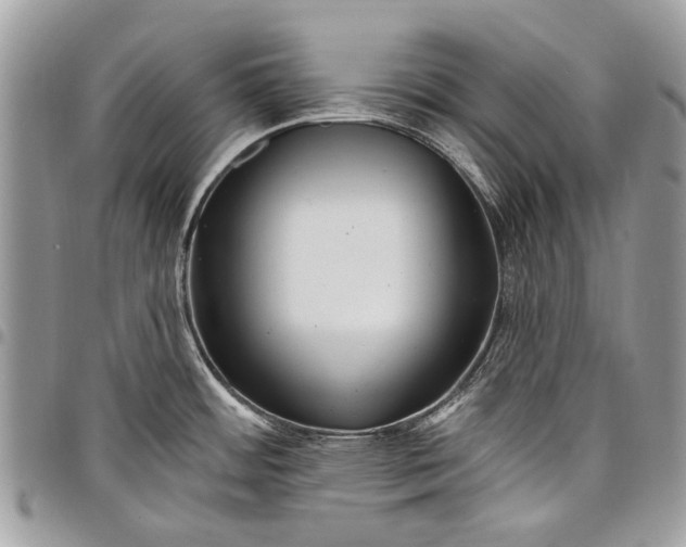 X0000097771484200803281629