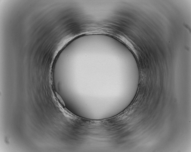 X0000097771485200803281629