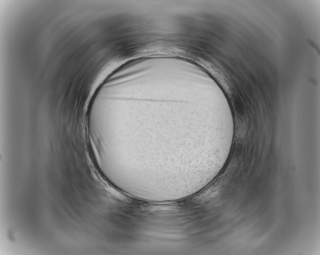 X0000097771486200803281629