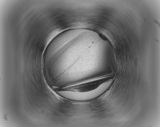 X0000097771487200803281629