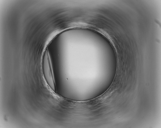 X0000097771488200803281629