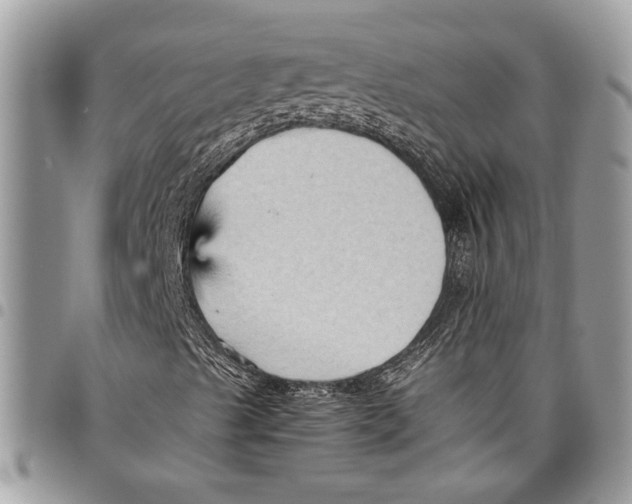 X0000097771489200803281628