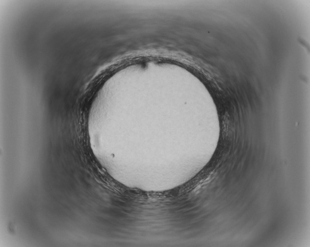 X0000097771494200803281628