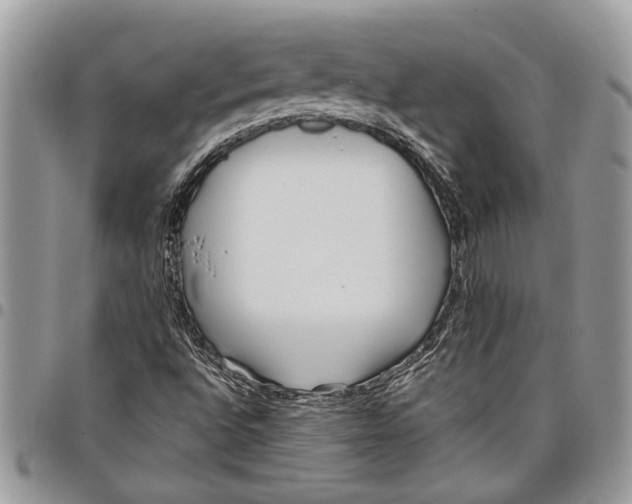 X0000097771496200803281628