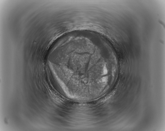 X0000097771497200803281628