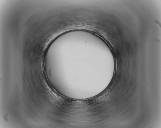 X0000097771500200803281628