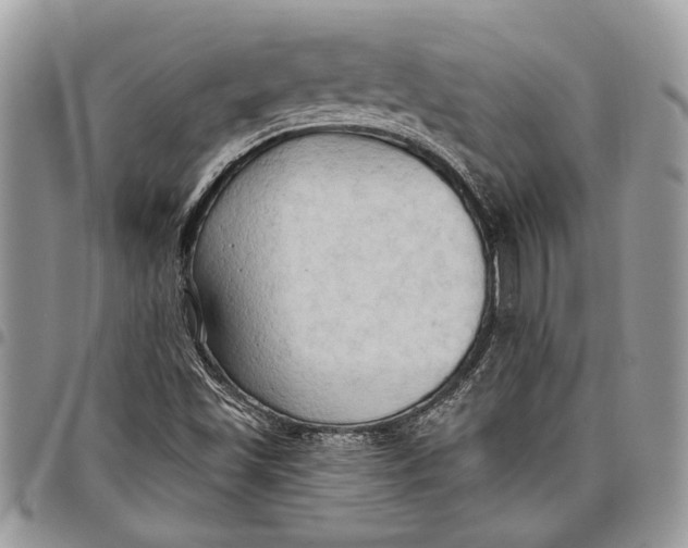 X0000097771501200803281628