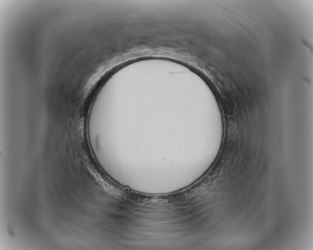 X0000097771503200803281628