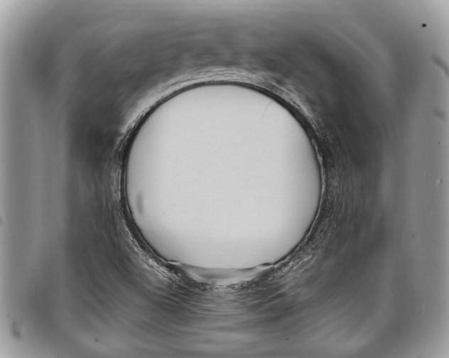 X0000097771504200803281628