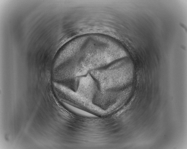 X0000097771505200803281628