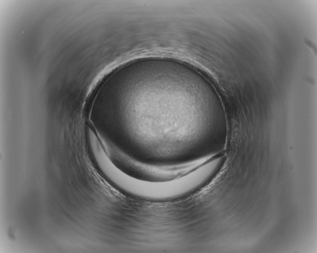 X0000097771506200803281628