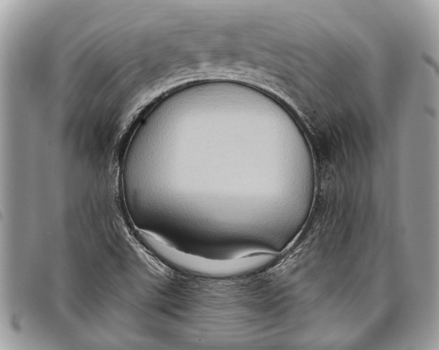 X0000097771507200803281628