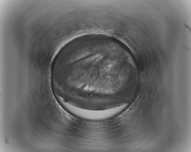 X0000097771508200803281628