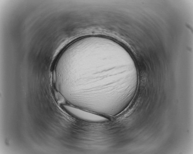 X0000097771509200803281628