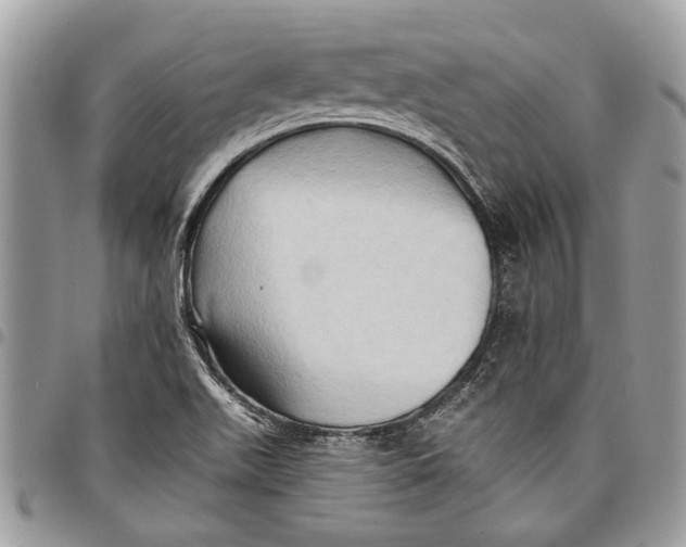 X0000097771511200803281628