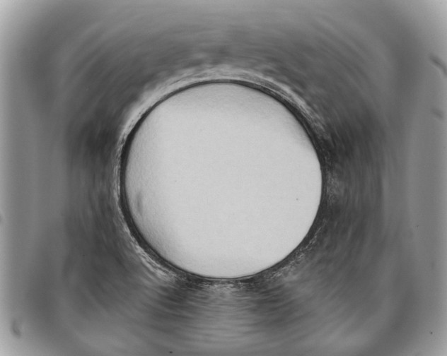 X0000097771512200803281628