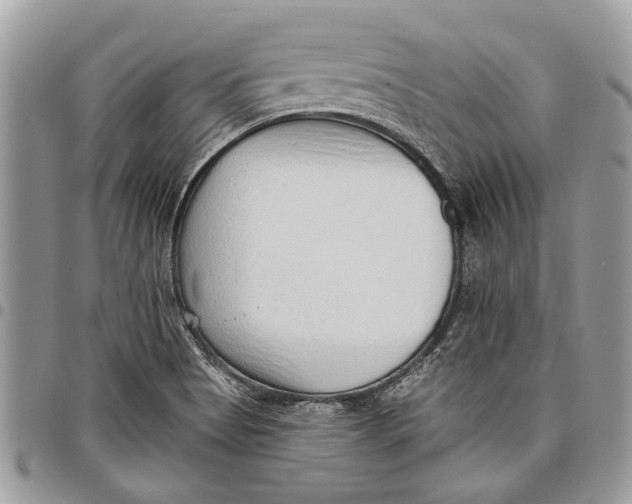 X0000097771513200803281628