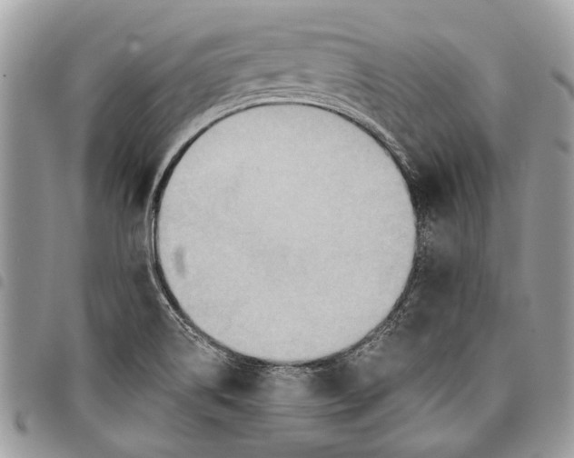 X0000097771514200803281628