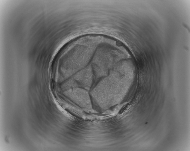 X0000097771515200803281628