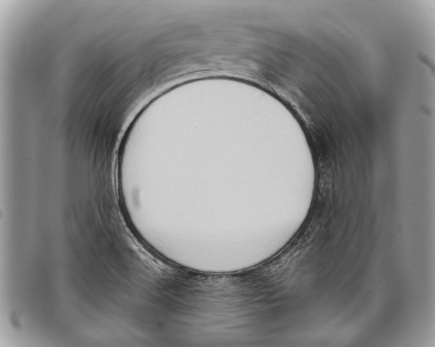 X0000097771516200803281628