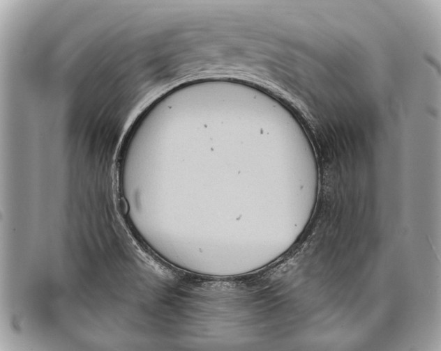 X0000097771517200803281628